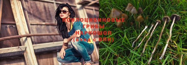 ПСИЛОЦИБИНОВЫЕ ГРИБЫ Алексин