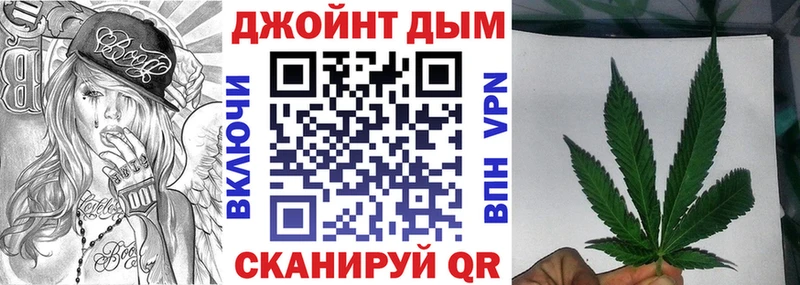 Каннабис конопля Карачев